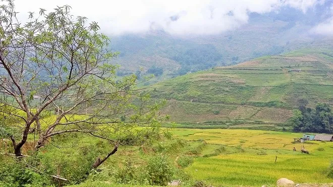 Du lịch Sapa tháng 9 ngắm vẻ đẹp bồng lai tiên cảnh du lịch sapa tháng 9