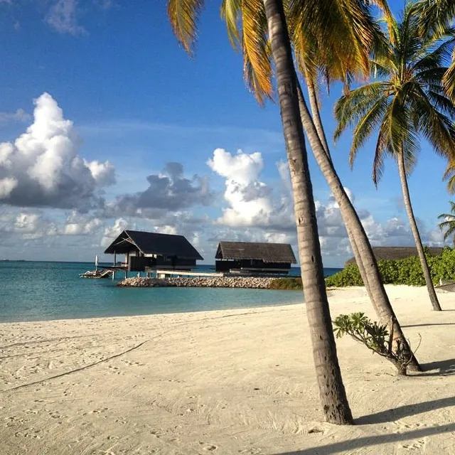 Du lịch Maldives bét nhè chè tươi chỉ với 18 triệu đồng kinh nghiệm du lịch maldives chỉ với 18 triệu đồng
