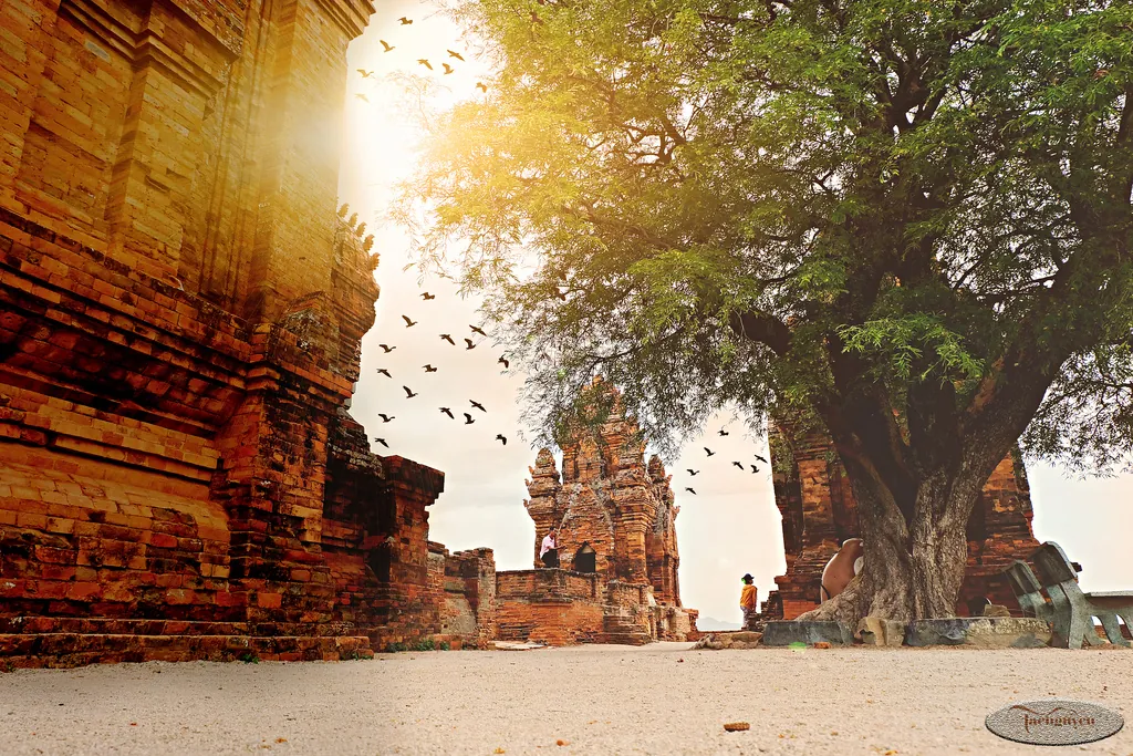 Ninh Thuận - Địa điểm nên đến một lần trong đời kinh nghiệm du lịch ninh thuận