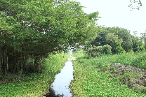 một ngày rong chơi ở cà mau