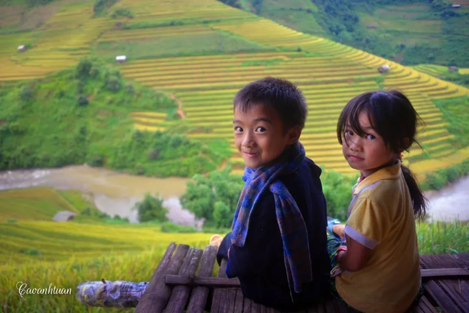 Mù Cang Chải vàng rực mùa lúa chín mù cang chải rực vàng mùa lúa chín