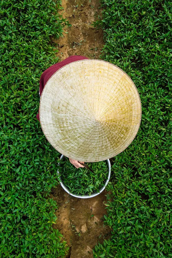 những bức ảnh đẹp về hội an