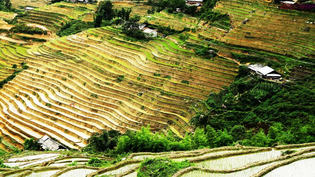 những điểm du lịch mạo hiểm đẹp nhất việt nam