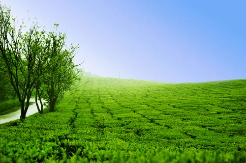 Những điểm du lịch hấp dẫn nhất tháng 11 những điểm du lịch tháng 11