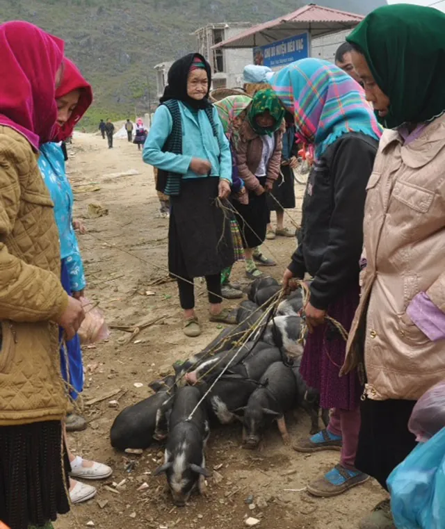 Phượt Hà Giang ngày không mùa phượt hà giang ngày không mùa