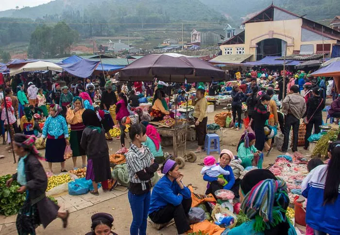 Tháng 10 rủ nhau du lịch Hà Giang ngắm hoa tam giác mạch tháng 10 ngắm hoa tam giác mạch hà giang