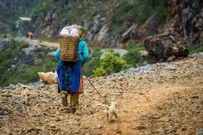 Tháng 10 rủ nhau du lịch Hà Giang ngắm hoa tam giác mạch tháng 10 ngắm hoa tam giác mạch hà giang