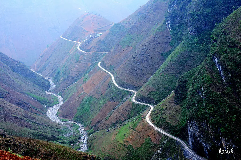 Tháng 10 rủ nhau du lịch Hà Giang ngắm hoa tam giác mạch tháng 10 ngắm hoa tam giác mạch hà giang