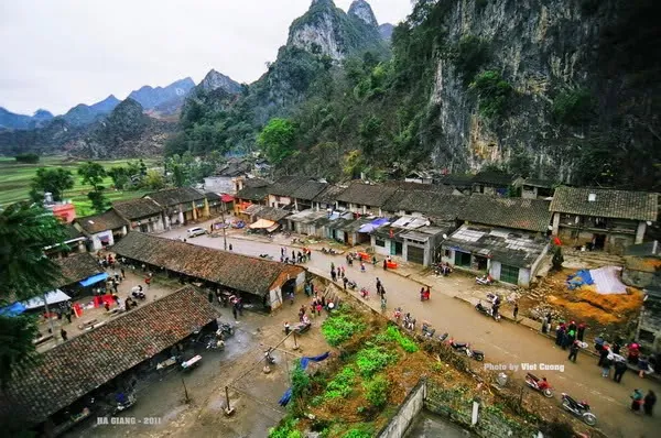 Tháng 10 rủ nhau du lịch Hà Giang ngắm hoa tam giác mạch tháng 10 ngắm hoa tam giác mạch hà giang