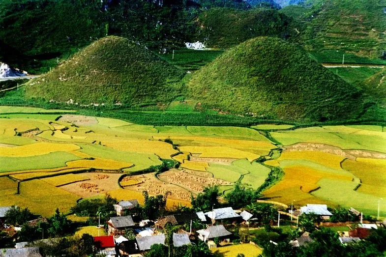 Tháng 10 rủ nhau du lịch Hà Giang ngắm hoa tam giác mạch tháng 10 ngắm hoa tam giác mạch hà giang