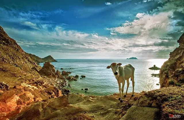 vẻ đẹp eo gió quy nhơn
