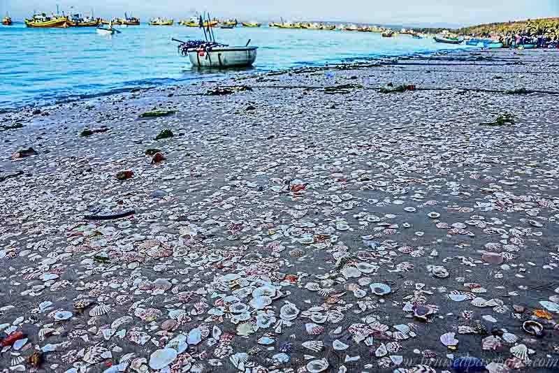 Làng chài Mũi Né đẹp ngỡ ngàng buổi sớm mai vẻ đẹp làng chài mũi né