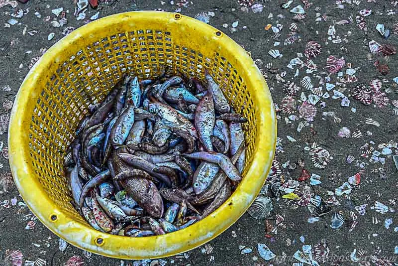 Làng chài Mũi Né đẹp ngỡ ngàng buổi sớm mai vẻ đẹp làng chài mũi né
