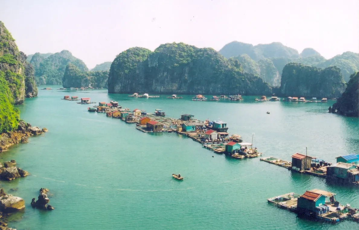 Du lịch Vịnh Lan Hạ "thiên đường bị bỏ quên" ở Việt Nam vẻ đẹp vịnh lan hạ