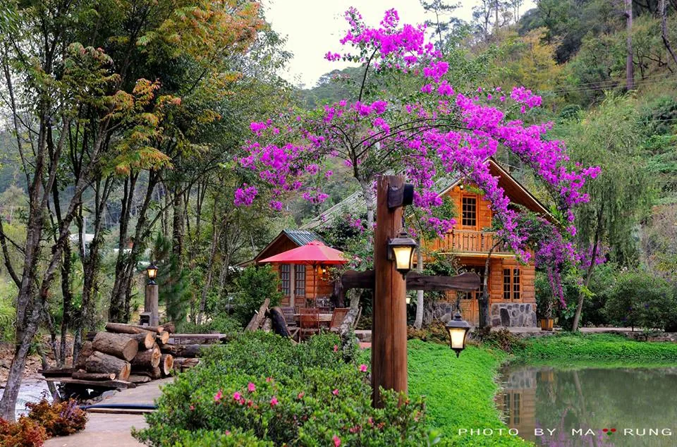 11 quán Cafe cực chất chỉ tìm thấy tại Đà Lạt