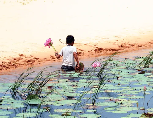 Du lịch Bàu Trắng Bình Thuận Du lịch bàu trắng bình thuận