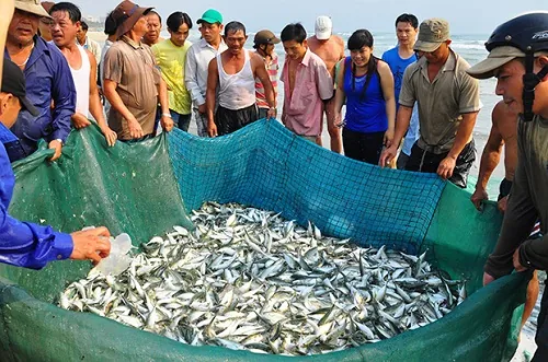 Du lịch Đà Nẵng trong 1 ngày và những điều có thể bạn đã vô tình bỏ lỡ Du lịch Đà Nẵng trong 1 ngày và những điều có thể bạn đã vô tình bỏ lỡ