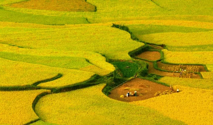 du lịch mộc châu tháng 10