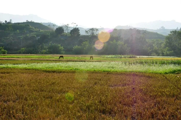 du lịch mộc châu tháng 10