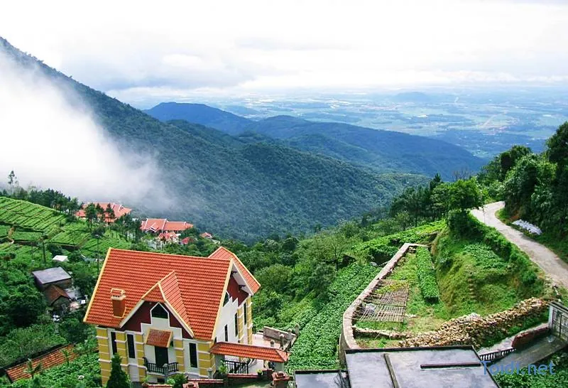 Kinh nghiệm du lịch Hà Nội - Tam Đảo trong ngày Kinh nghiệm du lịch Hà Nội Tam Đảo trong ngày