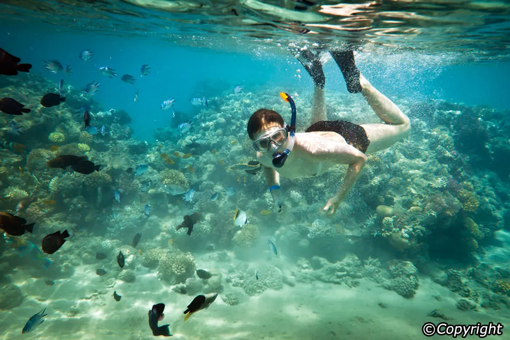 Kinh nghiệm du lịch Kok Phi Phi - Thiên đường trong tầm tay
