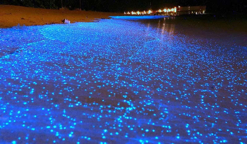 Kinh nghiệm du lịch Kok Phi Phi - Thiên đường trong tầm tay