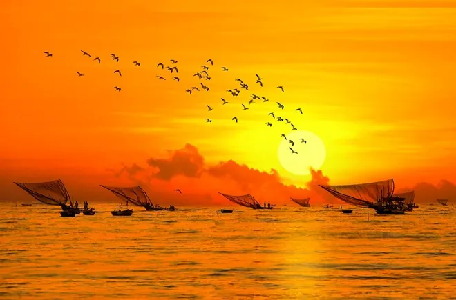 Những khoảnh khắc tuyệt đẹp về Đà Nẵng Những khoảnh khắc tuyệt đẹp về Đà Nẵng