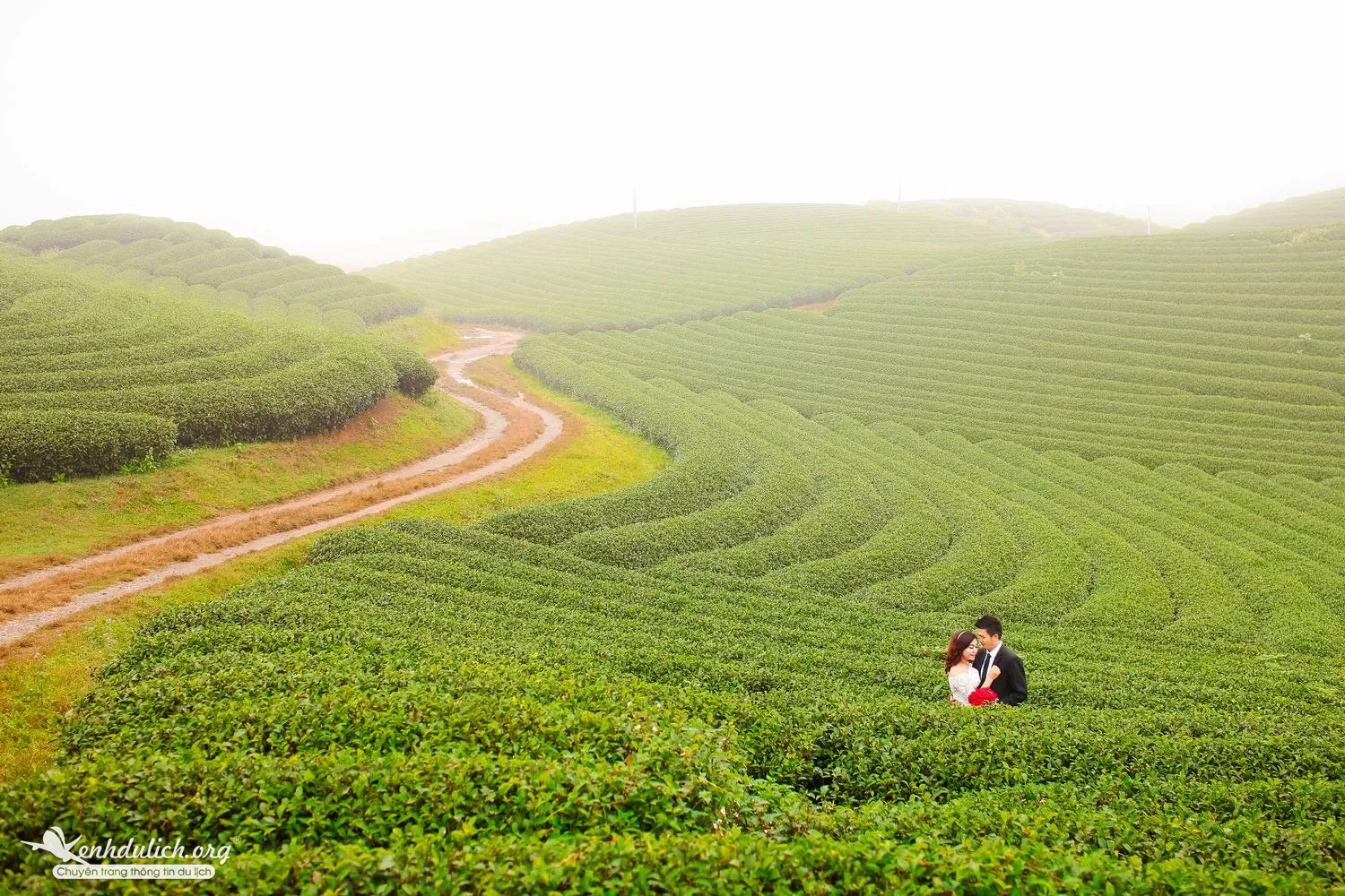 Đẹp mơ màng ảnh cưới trên cao nguyên Mộc Châu ảnh cưới đẹp trên cao nguyên mộc châu