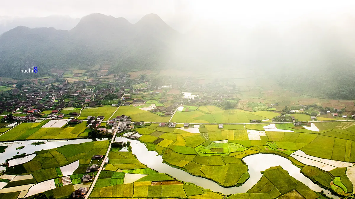 Bắc Sơn rực rỡ những mảng màu lúa chín Bắc Sơn rực rỡ những mảng màu lúa chín