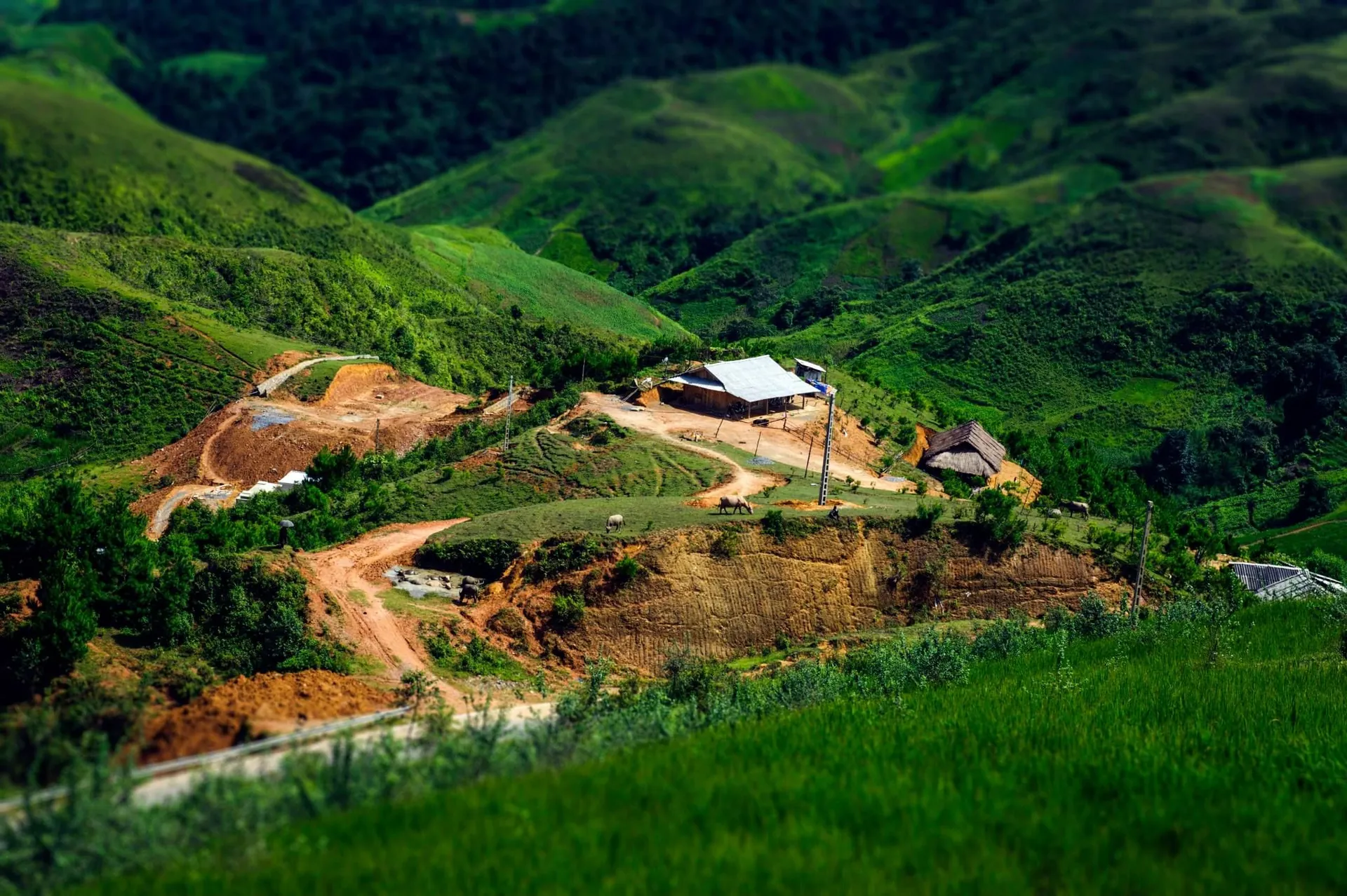 Bao la những chiều lộng gió trên đỉnh Pha Đin Bao la những chiều lộng gió trên đỉnh Pha Đin
