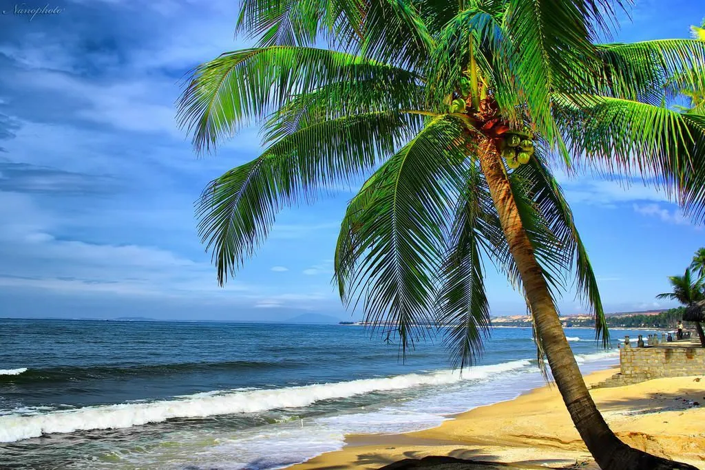 Biển Rạng Phan Thiết - món quà của thượng đế - phần 1 Biển Rạng Phan Thiết món quà của thượng đế phần 1