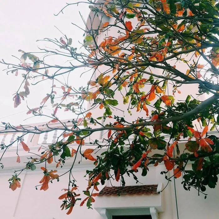 Bình Hưng chuyến phượt khép lại mùa hè
