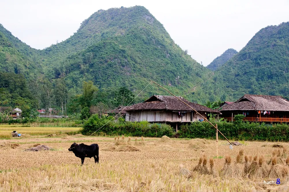 Bình minh lên rực rỡ nơi thung lũng Bắc Sơn Bình minh lên rực rỡ nơi thung lũng Bắc Sơn