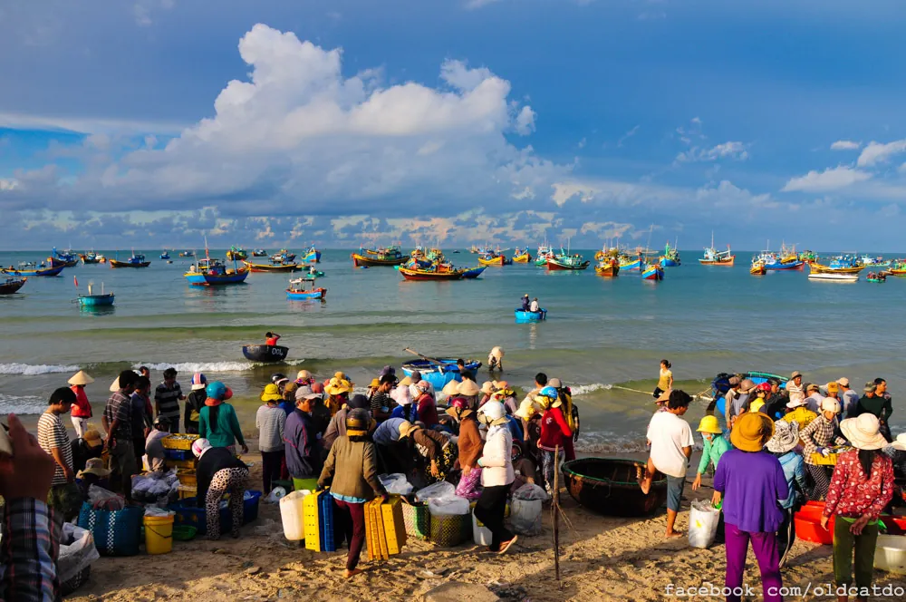 Bình minh nơi mắt biển Kê Gà Bình minh nơi mắt biển Kê Gà