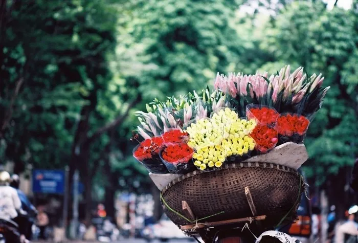 Cẩm nang du lịch về Hà Nội yêu dấu Cẩm lang du lịch về Hà Nội yêu dấu