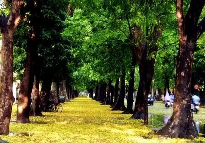 Cẩm nang du lịch về Hà Nội yêu dấu Cẩm lang du lịch về Hà Nội yêu dấu