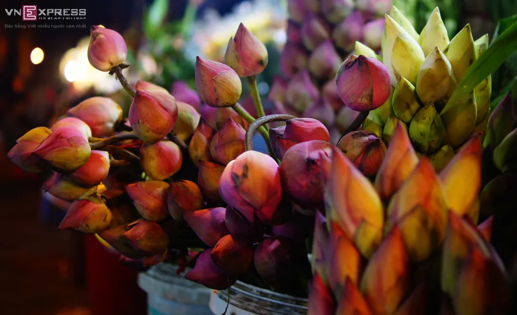 Chợ hoa đêm không ngủ ở Sài Gòn Chợ hoa đêm không ngủ ở Sài Gòn