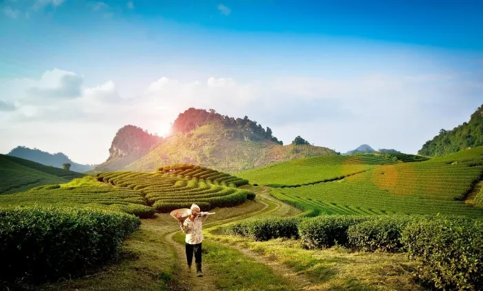 Có một Mộc Châu như thiên đường khi tháng 10 chạm ngõ Có một Mộc Châu như thiên đường khi tháng 10 chạm ngõ co mot moc chau nhu thien duong khi thang 10 cham ngo 2