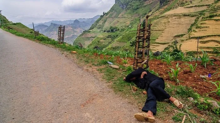 Con đường Hạnh Phúc Hà Giang 50 năm sau Con đường Hạnh Phúc Hà Giang 50 năm sau