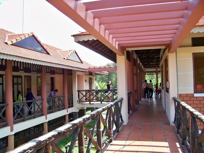 Con đường xuyên rừng tràm dài nhất Việt Nam