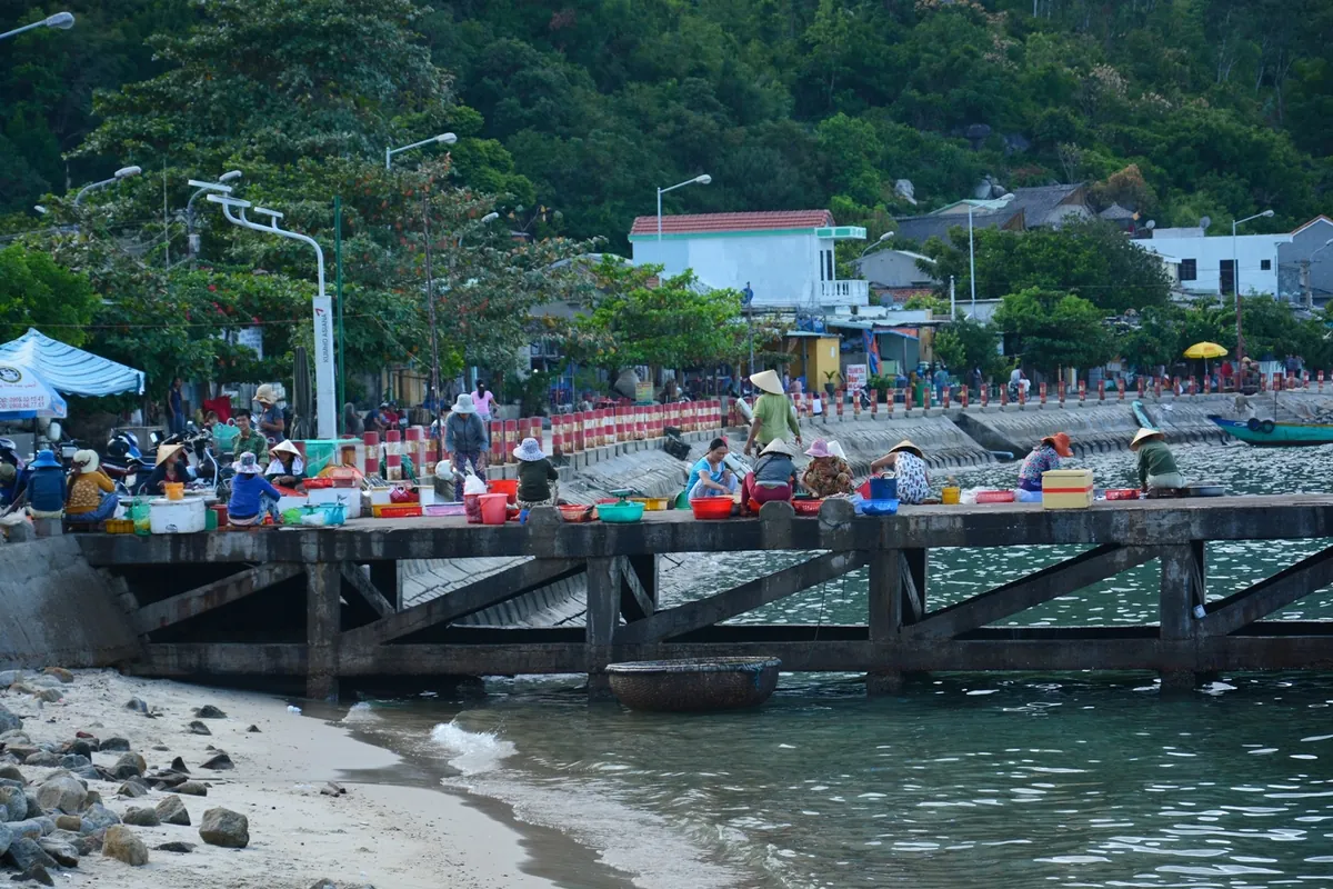Cù Lao Chàm - đảo xanh thân thiện Cù Lao Chàm đảo xanh thân thiện