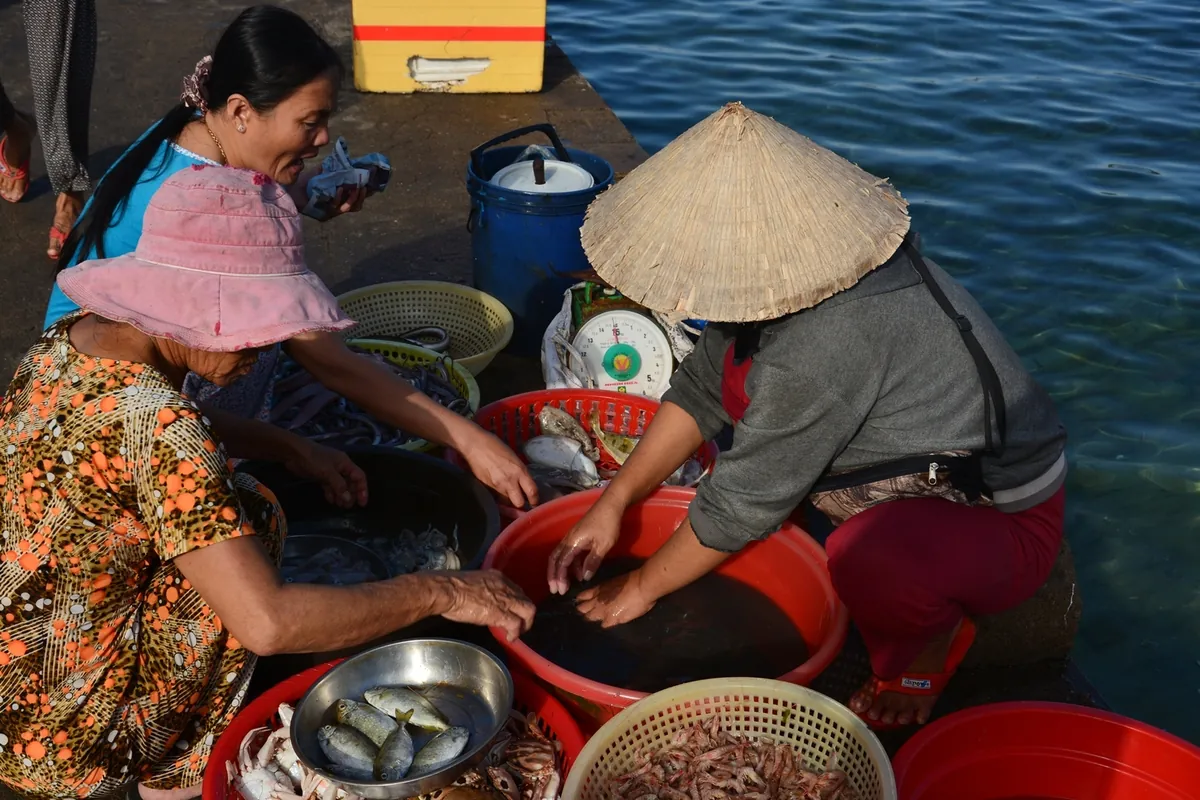 Cù Lao Chàm - đảo xanh thân thiện Cù Lao Chàm đảo xanh thân thiện