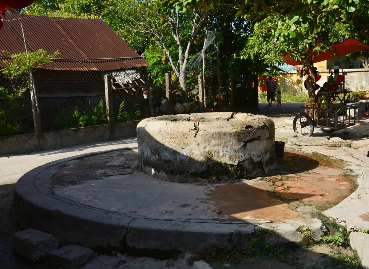Cù Lao Chàm - đảo xanh thân thiện Cù Lao Chàm đảo xanh thân thiện