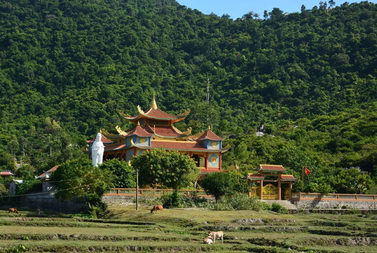 Cù Lao Chàm - đảo xanh thân thiện Cù Lao Chàm đảo xanh thân thiện