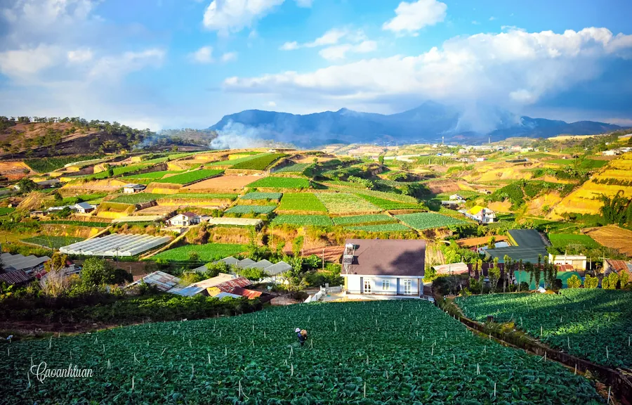 Đà Lạt thành phố của những mộng mơ Đà Lạt, thành phố của những mộng mơ