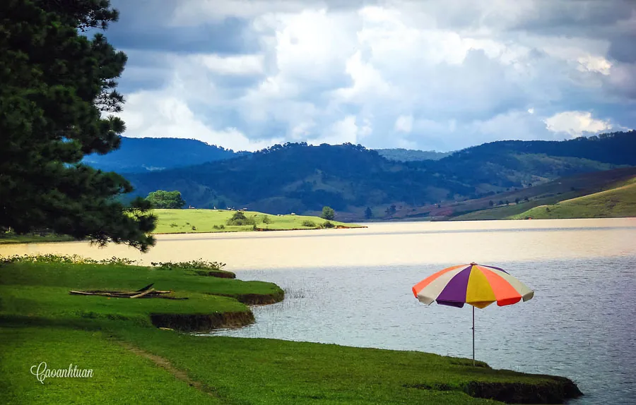 Đà Lạt thành phố của những mộng mơ Đà Lạt, thành phố của những mộng mơ