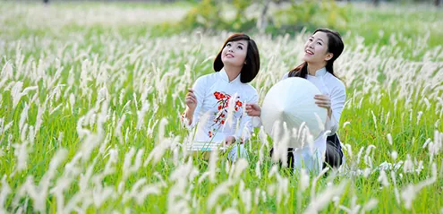 Đắm mình trong những cánh đồng hoa cực đẹp ở Việt Nam Đắm mình trong những cánh đồng hoa cực đẹp ở Việt Nam