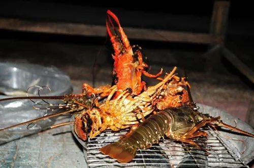 Đảo Bình Ba - điểm đến thú vị cho người độc thân Đảo Bình Ba điểm đến thú vị cho người độc thân