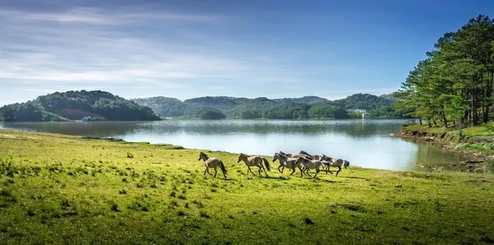 Dạo Việt Nam săn lùng những điểm đến đốn tim khách du lịch