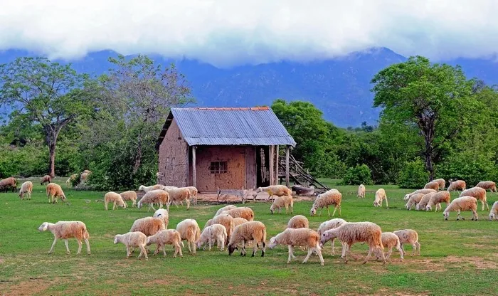 Dạo Việt Nam săn lùng những điểm đến đốn tim khách du lịch